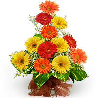 Flowers