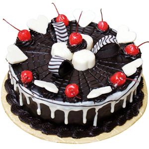 Chocolate Web Cake to Kakinada