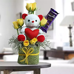 Cute Teddy Surprise to Kakinada