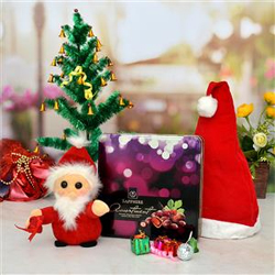 Assorment with Santa toy  to Vizag