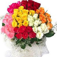 50 Mixed roses