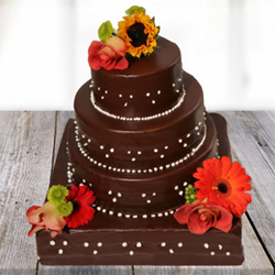 Dazzling Chocolate Cake 5kg 