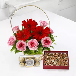 Flowers N Chocolates to Amalapuram