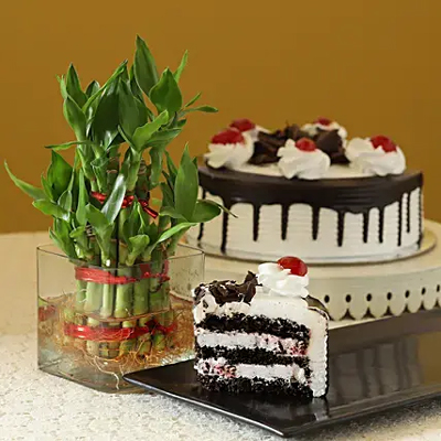 Cake With  Bamboo