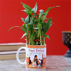 Personalised Bamboo Plant