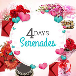 4 Days serenade