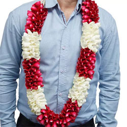 Red and White Flower Garland to Vizag