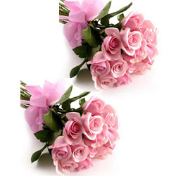 Pink Roses bunches