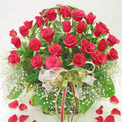 Magnificent Basket of Roses to Kakinada