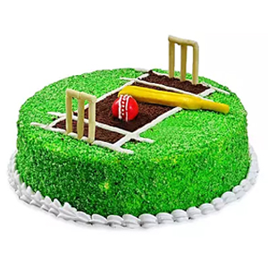 Cricket Pitch Fondant cake