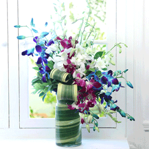 orchids vase