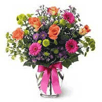 orchids vase
