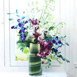 orchids vase to Kakinada