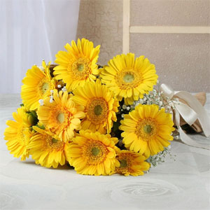 Yellow Gerberas