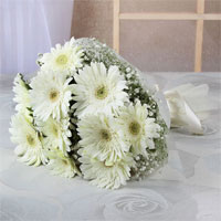 White Gerberas to Vizag