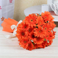 Orange Gerberas to Vizag