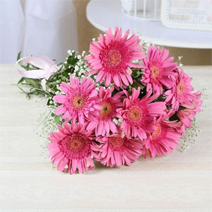 pink Gerberas to Kakinada