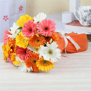 Mixed Gerberas to Kakinada