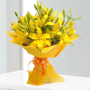 Yellow  Lilies