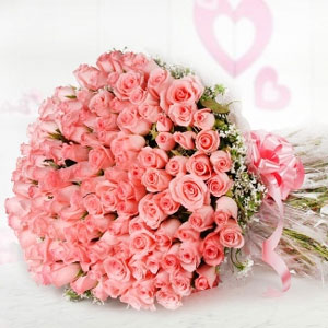 100 pink roses 