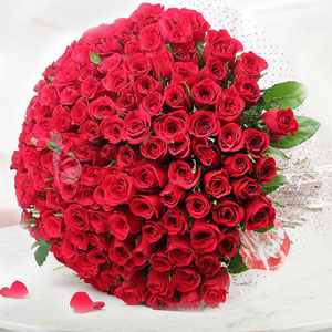 300 Gorgeous Roses 