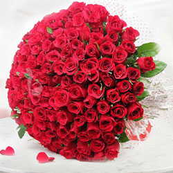 300 Gorgeous Roses  to Vizag