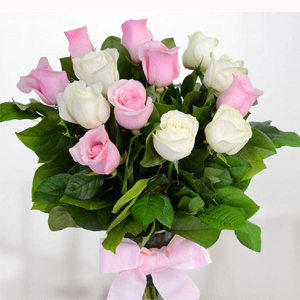 12 Pink And White Roses Bunch to Kakinada