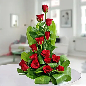 Beautiful Red Roses