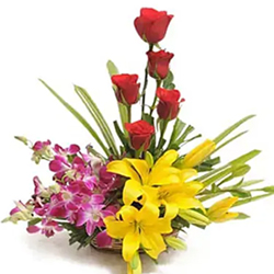 Colourful Blooms Basket