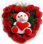 Roses N Soft toy to Vizag