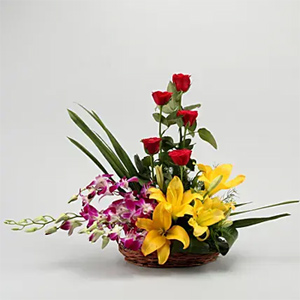 Colourful Blooms Basket