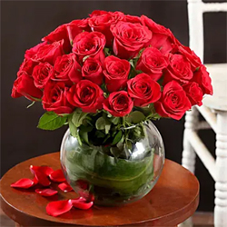 40 Red Roses Arrangement