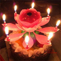 Musical Lotus Candle  to Kakinada