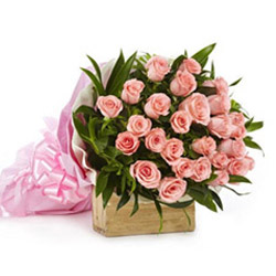 PINK ROSES BUNCH 