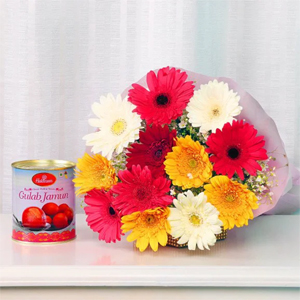 Gerbera Jamun