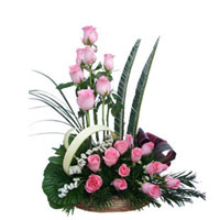 MAGIC OF PINK  to Kakinada