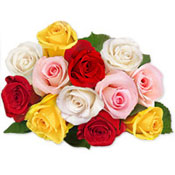 Multi coloured roses  to Kakinada
