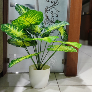 Artificial plant - out of stock