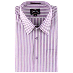 Allen Solly Striped Shirt