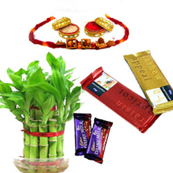 Lucky Bamboo with Rakhi