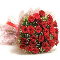 RED ROSES BUNCH 