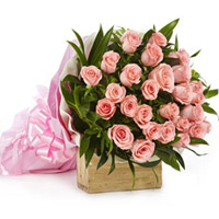 PINK ROSES BUNCH 