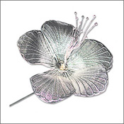 Silver Hibiscus