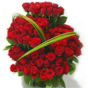 Red Roses to Vizag