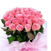 Pink roses bunch