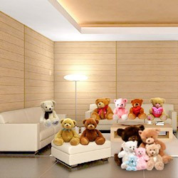 Room Full of Teddies