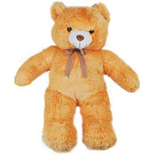 Big teddy to Kakinada
