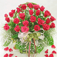 50 Red Roses in a Basket