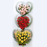Tri Colored Roses Arrangement to kakinada