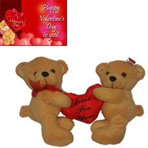 Couple teddy 